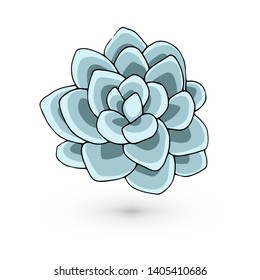 Blue succulent hand-drawn. Plant view from above. Flower isolated on white background. Doodle illustration.