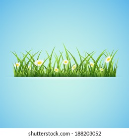Blue summer background with grass and flowers, illustration.