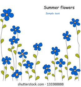 blue summer flowers