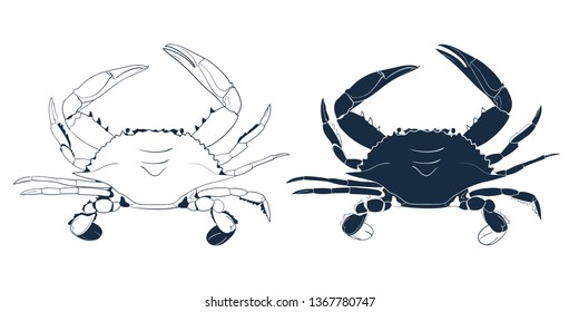 Blue Swimmer Crab Silhouette isolated on white background. Vector hand drawn outline seafood illustration. Sign, Emblem, Icon or Logo Template.