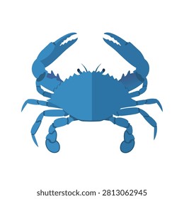 Blue Swimming Crab Vector Illustration Isolated on White Background, Atlantic Coastal Marine Animal Icon