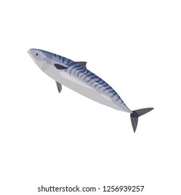 Blue swimming mackerel. Big predatory fish with stripes on back. Fresh seafood. Detailed flat vector icon