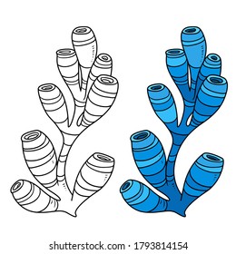 Blue tall sponge coloring book linear drawing isolated on white background