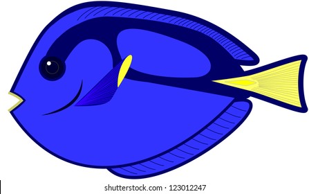 Blue Tang Fish Cartoon