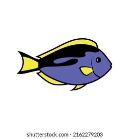 blue tang fish icon design template vector illustration
