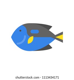 Blue Tang icon, set of ocean life icon, flat design vector