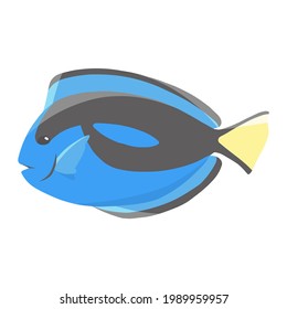 blue tang of sea animal illustration