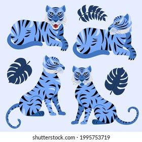 Blue tiger and tropical leaves set. Year of the Water Tiger Chinese New Year 2022. Vector illustration