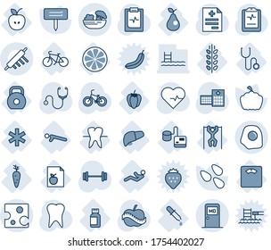 Blue tint and shade editable vector line icon set - medical room vector, plant label, pumpkin, seeds, heart pulse, diagnosis, stethoscope, barbell, bike, tooth, clipboard, diet, hospital, list, pull