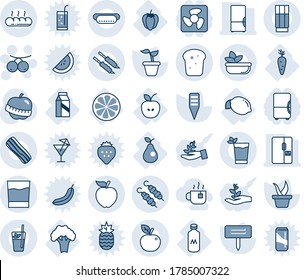 Blue tint and shade editable vector line icon set - rowanberry vector, seedling, plant label, diet, apple, lemon, carrot, slice, sweet pepper, pear, broccoli, milk, fridge, drink, phyto bar, salad