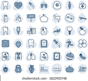 Blue tint and shade editable vector line icon set - plant label vector, pumpkin, heart pulse, diagnosis, dropper, patch, run, lungs, tooth, caries, implant, clipboard, diet, doctor bag, patient card