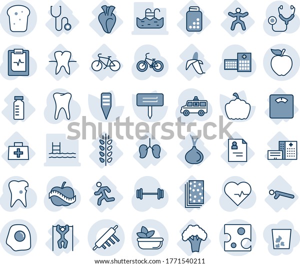 Blue tint and shade editable vector line icon set -\
plant label vector, pumpkin, heart pulse, stethoscope, ambulance\
car, barbell, bike, tooth, caries, clipboard, diet, hospital,\
doctor bag, vial