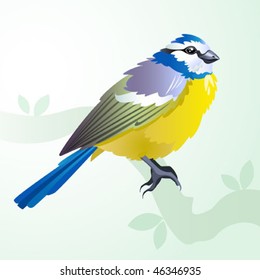 Blue tit bird on a branch in spring - illustration