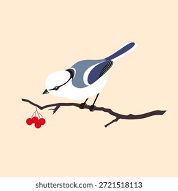 A blue tit bird sitting on a branch with berries. The azure tit (Cyanistes cyanus) is a passerine bird in the tit family Paridae.