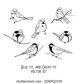 Blue tit and great tit black outline vector set isolated on white background. Winter forest bird animal character editable line art illustration