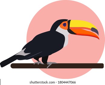 
Blue toucan bird against the background of a pink circle, sitting sideways on a tree, vector illustration in flat style for stickers, postcards, presentations. The colors are bright orange,yellow,