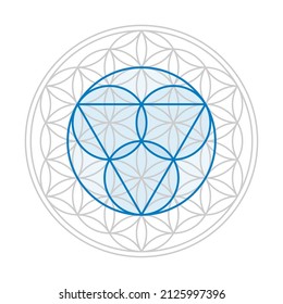 Blue trinity symbol, three circles for the Father, the Son Jesus Christ, and the Holy Spirit, over a gray Flower of Life, a geometrical figure, with overlapping circles, forming a flower-like pattern.