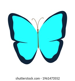 Blue tropical butterfly. isolated on a white background. Vector illustration