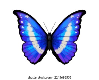 Blue tropical vector butterfly. Morpho rhetenor helena. Realistic vibrant detailed illustration. Isolated on white. South American butterfly.