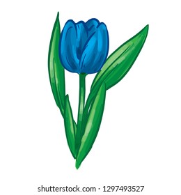 Blue Tulip Flower Vector Illustration