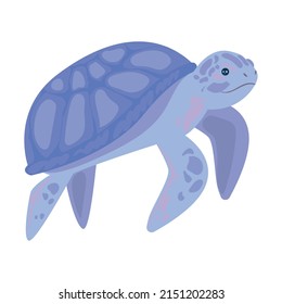diseño de tortuga azul sobre blanco