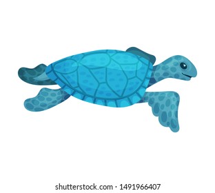 Blue turtle. Vector illustration on a white background.
