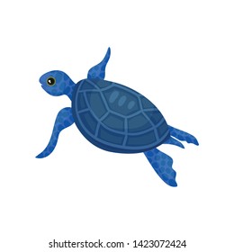 Blue turtle. View from above. Vector illustration on white background.