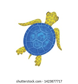 Blue turtle. View from above. Vector illustration on white background.