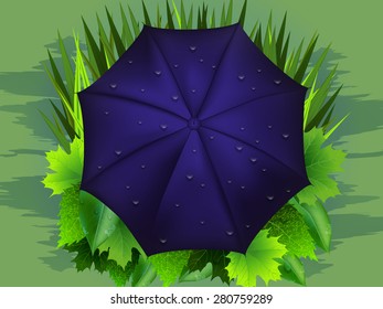 Blue umbrella and green grass