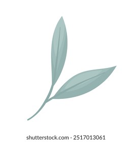 Rama de Vector azul de flores de hoja perenne e invernal. Ilustración vectorial de hojas para el diseño. Ramas dibujadas a mano sobre un fondo blanco. Elemento de diseño para diseños naturales y orgánicos