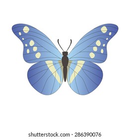 Blue vector butterfly on a white background.