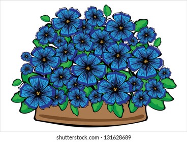 blue vector petunia flowers in pot isolated on white background