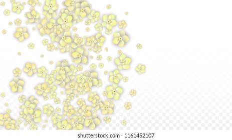 Blue Vector Realistic Blue Petals Falling on Transparent Background.  Spring Romantic Flowers Illustration. Flying Petals. Sakura Spa Design. Blossom Confetti. Design Elements for  8 March Card.