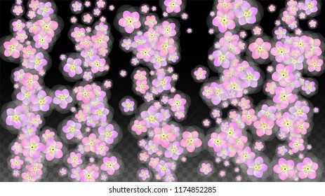 Blue Vector Realistic Blue Petals Falling on Transparent Background.  Spring Romantic Flowers Illustration. Flying Petals. Sakura Spa Design. Blossom Confetti. Design Elements for  Poster Design. 