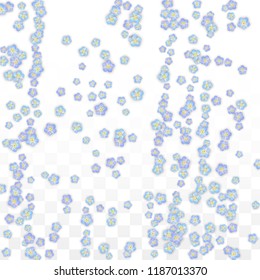 Blue Vector Realistic Blue Petals Falling on Transparent Background.  Spring Romantic Flowers Illustration. Flying Petals. Sakura Spa Design. Blossom Confetti. Design Elements for  Mother's Day.