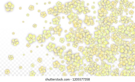 Blue Vector Realistic Blue Petals Falling on Transparent Background.  Spring Romantic Flowers Illustration. Flying Petals. Sakura Spa Design. Blossom Confetti. Design Elements for  Mother's Day.