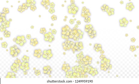 Blue Vector Realistic Blue Petals Falling on Transparent Background.  Spring Romantic Flowers Illustration. Flying Petals. Sakura Spa Design. Blossom Confetti. Design Elements for  Wedding Decoration.