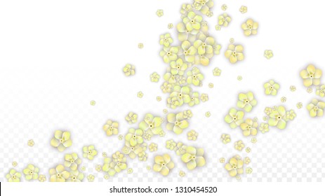 Blue Vector Realistic Blue Petals Falling on Transparent Background.  Spring Romantic Flowers Illustration. Flying Petals. Sakura Spa Design. Blossom Confetti. Design Elements for  Wedding Decoration.
