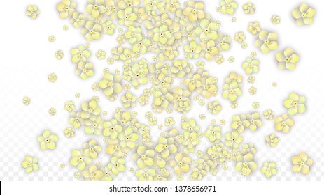 Blue Vector Realistic Blue Petals Falling on Transparent Background.  Spring Romantic Flowers Illustration. Flying Petals. Sakura Spa Design. Blossom Confetti. Design Elements for  Poster Design. 