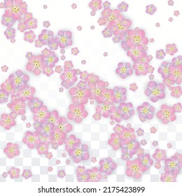 Blue Vector Realistic Blue Petals Falling on Transparent Background.  Spring Romantic Flowers Illustration. Flying Petals. Sakura Spa Design. Blossom Confetti. Design Elements for  Mother's Day.