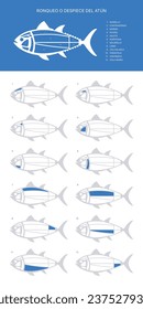 Blue verical Tuna Cuts diagram (ronqueo). Parts of tuna written in Spanish. 