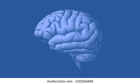 Blue vintage human brain crosshatch engraved drawing in  side view illustration isolated on dark blue background