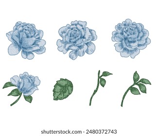 Blue Vintage Rose Watercolor Flower