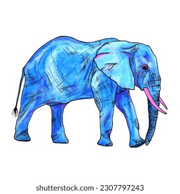 Blue walking elephant isolated on white vector illustration in watercolor style. Wildlife elefant with tusks and trunk.  Blue elephant walking.