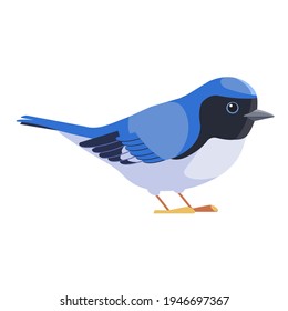 Blue warbler is a small passerine bird of the New World warbler family. Black-throated blue warbler Bird Cartoon flat style beautiful character of ornithology, vector illustration isolated on white.