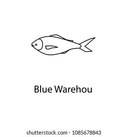 blue warehou icon. Element of marine life for mobile concept and web apps. Thin line blue warehou icon can be used for web and mobile. Premium icon on white background