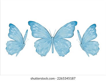 blue watercolor butterfly hand drawn