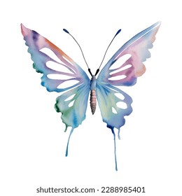 Blue watercolor butterfly isolated on the white background. Vector