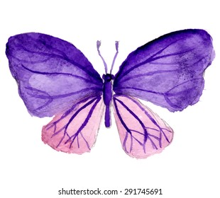 Blue watercolor  butterfly isolated at white background