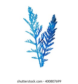 blue watercolor grass. Vector